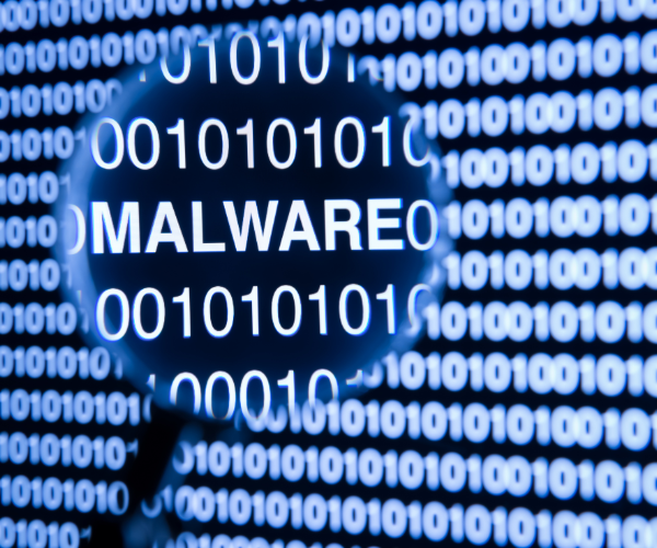What can Malware do to your computer?