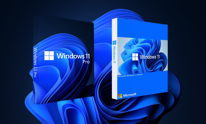 Choosing Windows 11 Pro over Windows Home